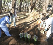 静岡県　田方農業高校　造景部のみなさん2