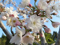 宮城県　宮城県農業高校　科学部のみなさん1