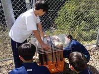 和歌山県　みなべ町立高城中学校　１年生のみなさん2