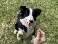 兵庫県　兵庫県立農業高校　動物科学科２、３年生のみなさん2