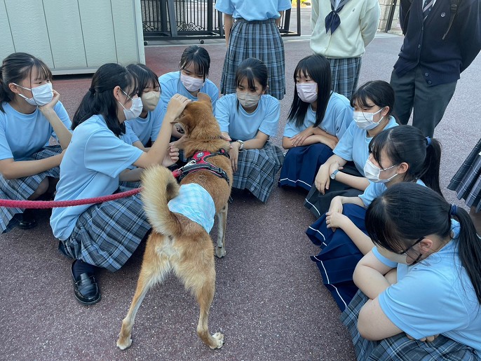 広島県　進徳女子高校　ＷＤＰ（Walking with Dogs Project）部のみなさん11