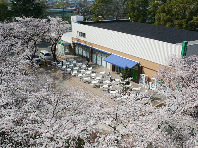 埼玉大学の学食