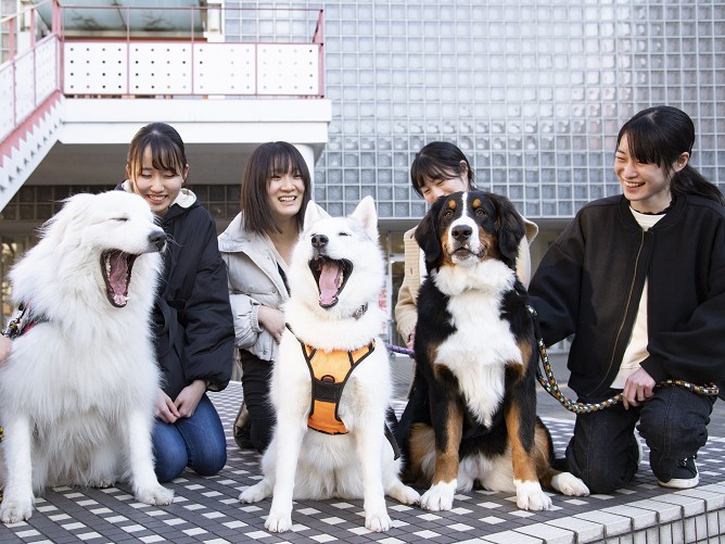 日本獣医生命科学大学の部活