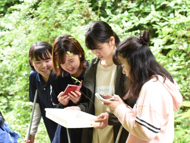 日本獣医生命科学大学の部活