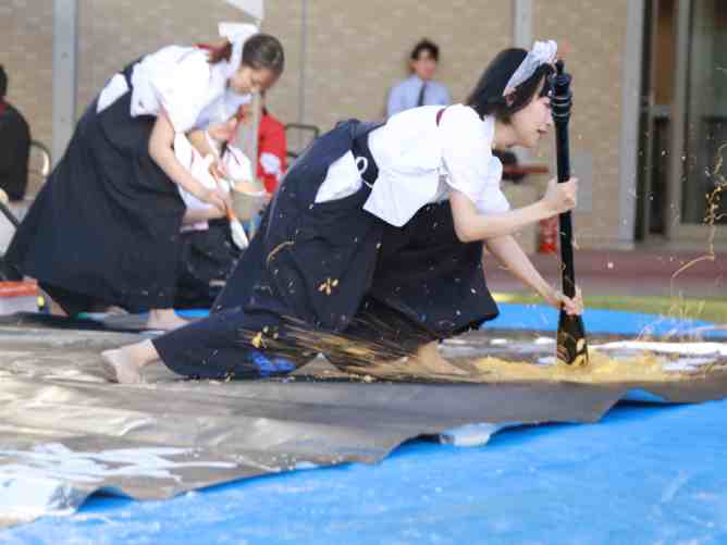 大阪樟蔭女子大学の部活