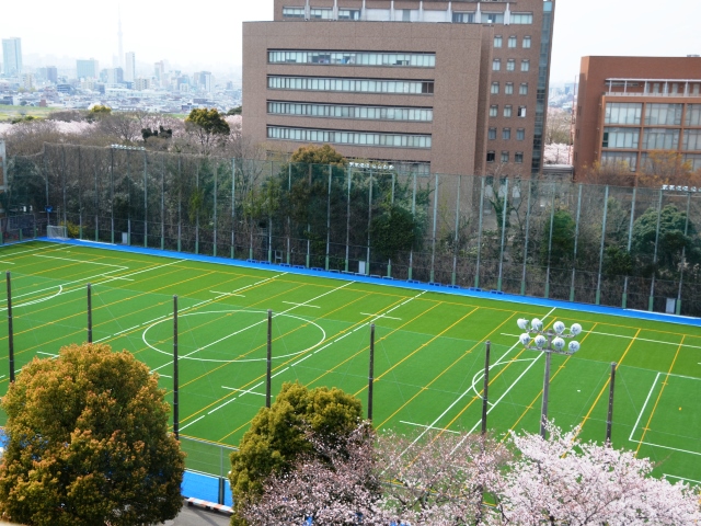 千葉商科大学のクラブ活動