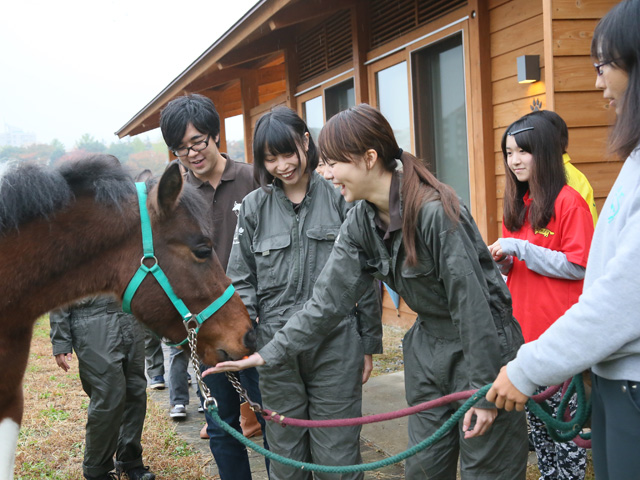 ヤマザキ動物看護大学の部活・クラブ