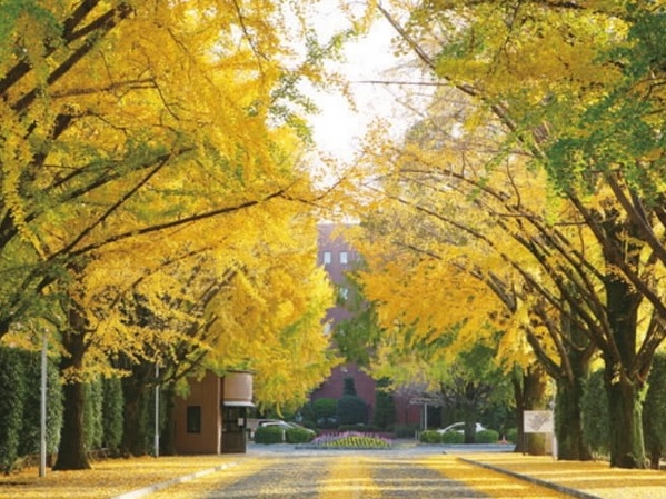 熊本学園大学