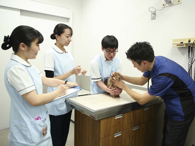 日本獣医生命科学大学