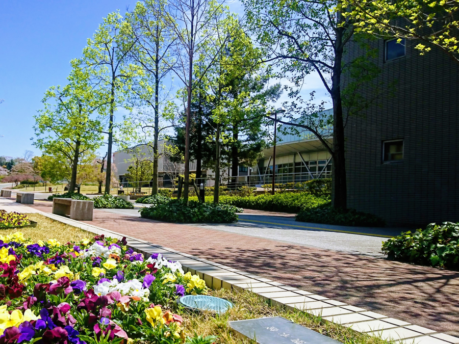 四天王寺大学の施設・環境