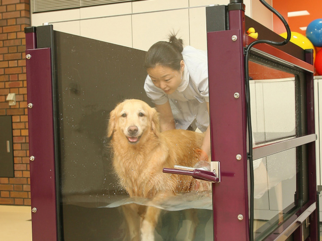 ヤマザキ動物看護専門職短期大学のcampusgallery