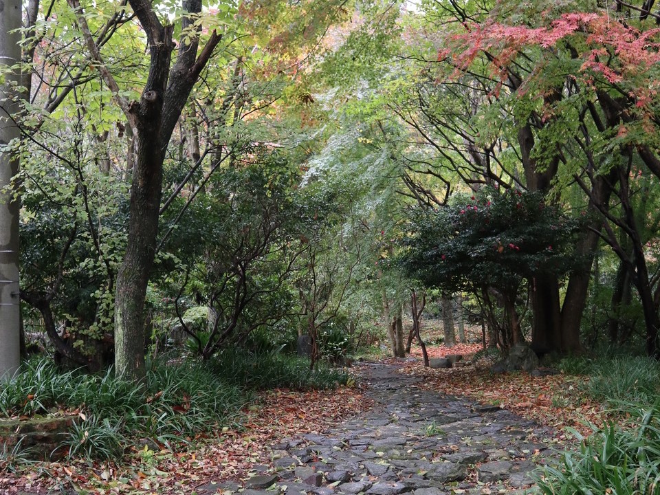 西日本短期大学