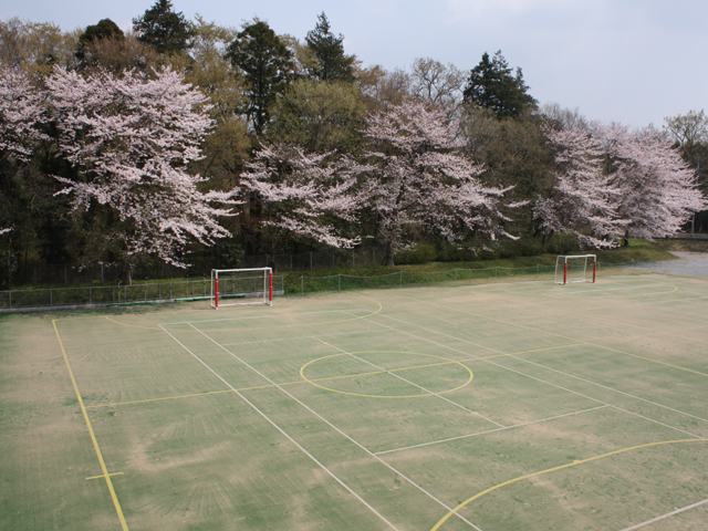 植草学園大学