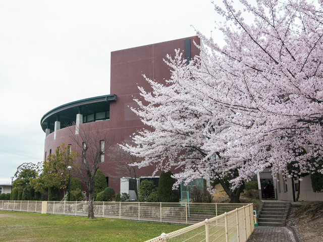 桜花学園大学