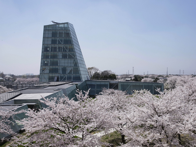 日本工業大学