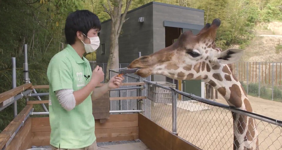 大阪ＥＣＯ動物海洋専門学校