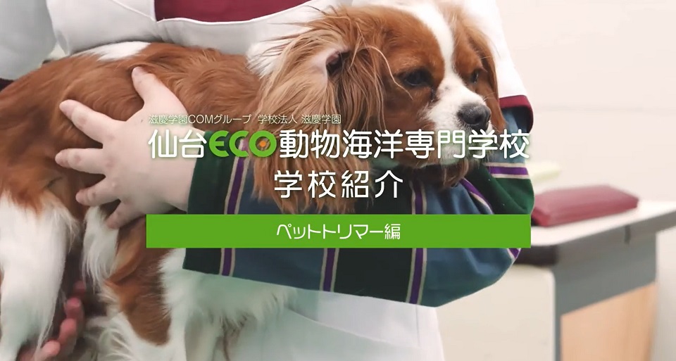 仙台ＥＣＯ動物海洋専門学校