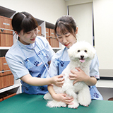 ヤマザキ動物専門学校のcampusgallery