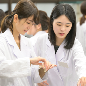 栄養学部