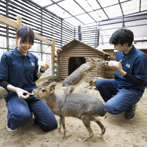 大阪ＥＣＯ動物海洋専門学校のcampusgallery