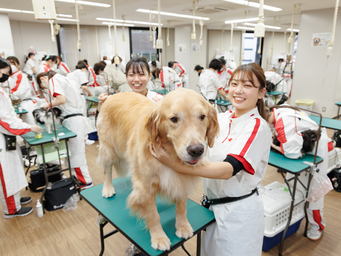 大阪動物専門学校