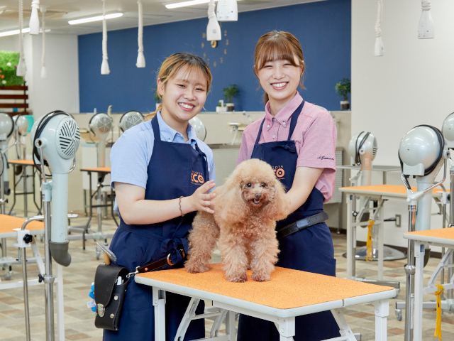 名古屋ＥＣＯ動物海洋専門学校