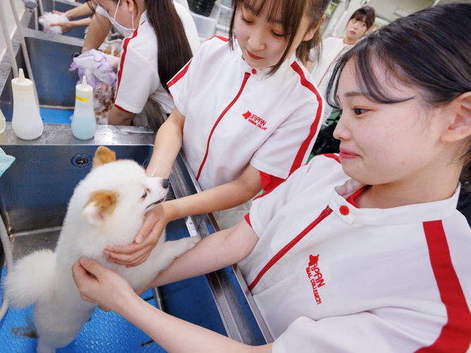 大阪動物専門学校天王寺校のオープンキャンパス