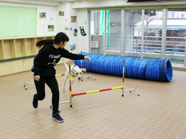 ドッグスペシャリスト学科専用の校舎である3号館。犬たちと一緒に授業をうけることもあります！