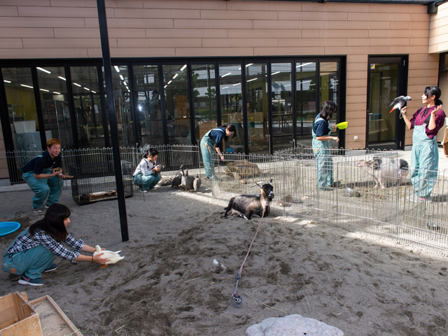 ＴＣＡ東京ＥＣＯ動物海洋専門学校のオープンキャンパス