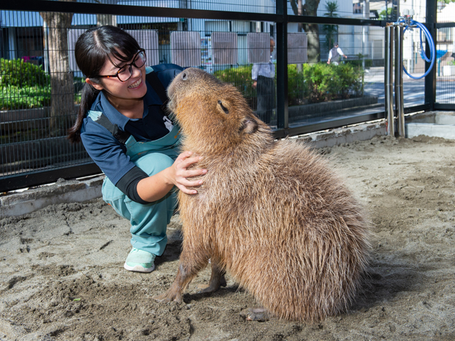 ＴＣＡ東京ＥＣＯ動物海洋専門学校のオープンキャンパス