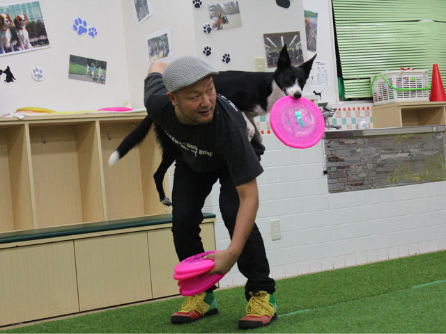 大宮国際動物専門学校