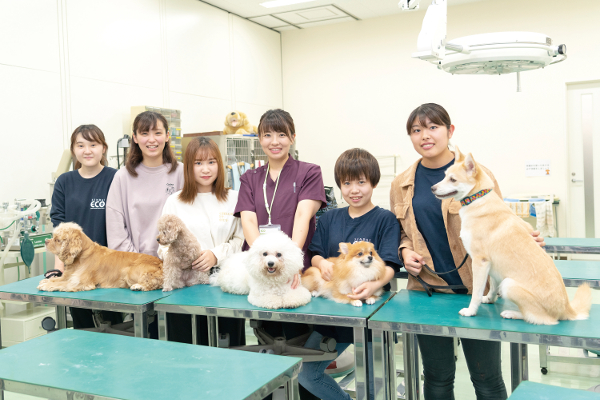 仙台ＥＣＯ動物海洋専門学校のcampusgallery