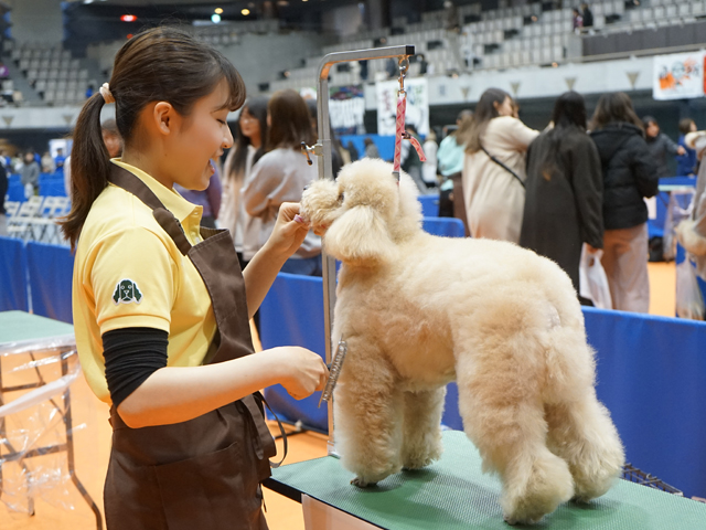 国際動物専門学校のオープンキャンパス