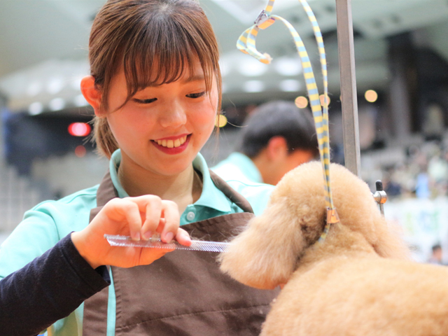 大宮国際動物専門学校のオープンキャンパス