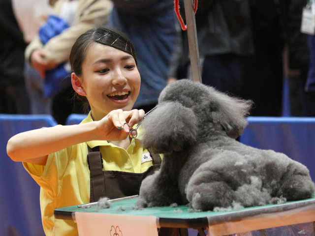 国際動物専門学校のオープンキャンパス