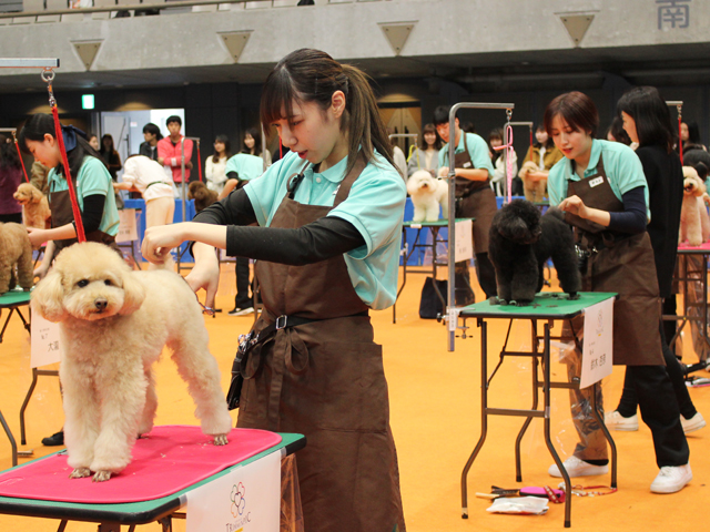 国際動物専門学校のオープンキャンパス